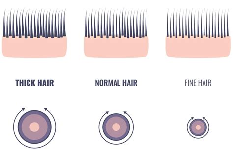 how do you measure hair thickness|hair thickness test.